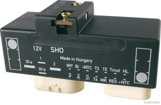 HERTH&BUSS Relais, Kühlerlüfternachlauf, 12 V, 14 pins - 75898972