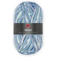 Pro Lana BRASIL 100 g Sockenwolle Häkelwolle, 420 m (Sockenwolle mit ausdrucksstarken Farbverläufen), 100 g