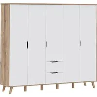 FORTE Kleiderschrank Vankka, Drehtürenschrank, Viel Stauraum, skandinavischer Stil Made in Europe, mit Einlegeböden+Kleiderstangen+Schubladen,grifflos