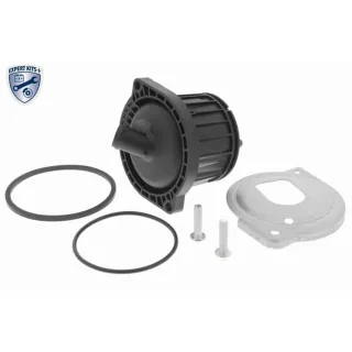 Vaico ?labscheider f?r Kurbelgeh?use Audi A4 A6 A8 Skoda Superb VW Passat