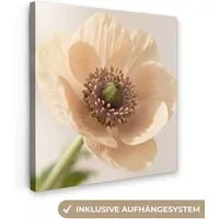 OneMillionCanvasses® Leinwandbild Blume - Minimalistisch - Grün, Fotodruck (1 St), Wandbild, Deko Schlafzimmer Wohnzimmer Flur 20x20 cm
