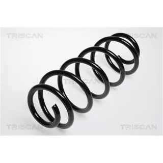 Triscan Feder vorne Audi A4 B5 875029043