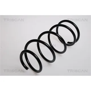 Triscan Feder vorne Ford Maverick