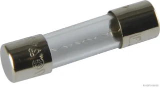 HERTH&BUSS Sicherung, Glas, F flink, 5 x 20mm, 250V max. - 50295048