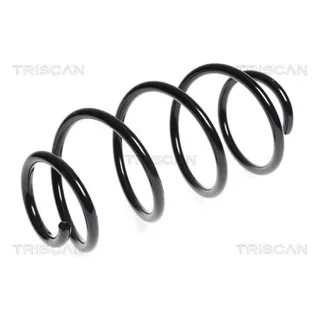 Triscan Feder vorne Citroen Berlingo Peugeot Partner 1,6 875028128