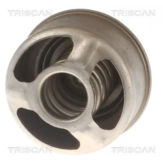 2 Triscan Gasfedern F?r Heckklappe Renault Megane Scenic I