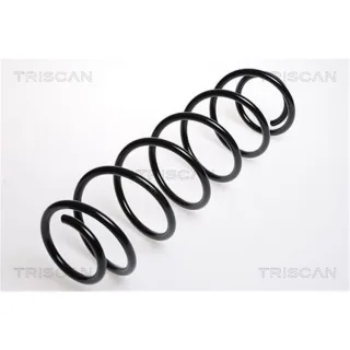 Triscan Feder hinten Renault Laguna 2 87502531
