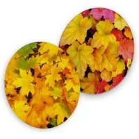 itenga Bierdeckel itenga 40x Bierdeckel Herbstblätter I Gelb Rot I Untersetzer I 10,7cm