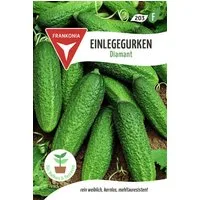 FRANKONIA Gemüsesamen Einlegegurke, Diamant F1 - Gurken-Samen Saatgut Samen, Cucumis sativus