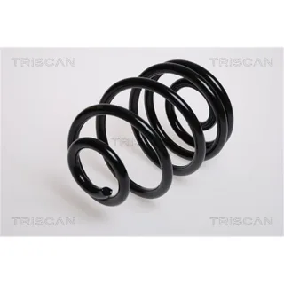 Triscan Feder hinten Opel Astra F