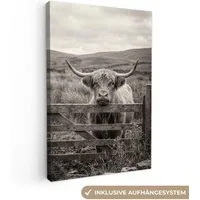 OneMillionCanvasses® Leinwandbild Schottischer Highlander - Schwarz - Weiß - Holz, Fotodruck (1 St), Leinwand Canvas Wandbild, Wanddekoration 20x30 cm