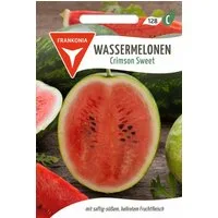 FRANKONIA Gemüsesamen Wassermelone, Crimson Sweet - Saatgut Samen, Citrullus lanatus