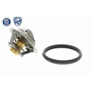 Ackoja Thermostat + Dichtung Nissan Juke Qashqai X-Trail Renault Clio