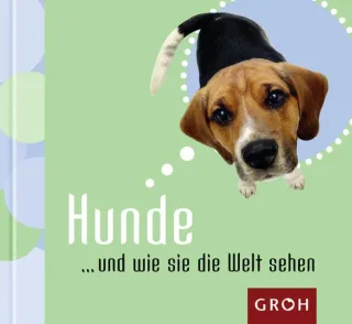 Hunde... und wie sie die Welt sehen