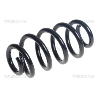 Triscan Feder hinten BMW 2er 875011249