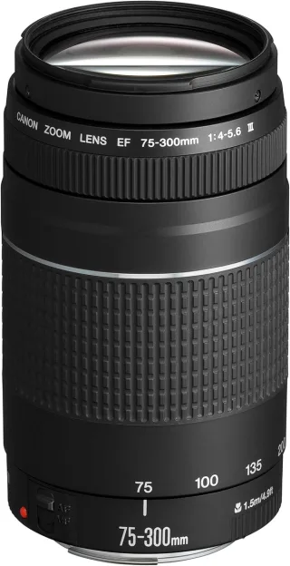 Canon 75-300mm 1:4-5.6 III [für Canon EF] schwarz