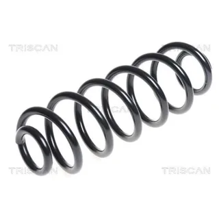 Triscan Feder hinten Audi Q5 875029275