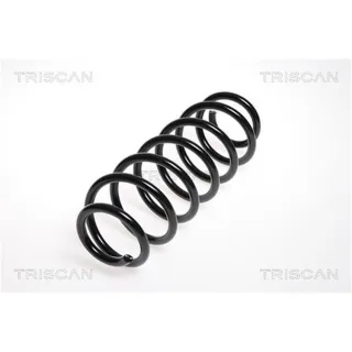 Triscan Feder hinten Audi A2 875029143