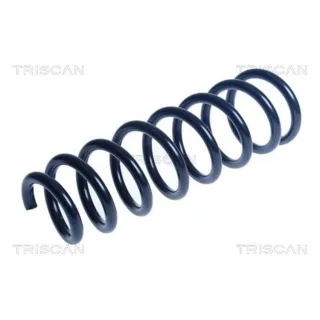 Triscan Feder vorne BMW X5 E70 875011236