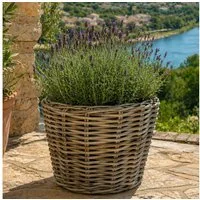Van der Leeden Blumentopf DRYPOT 43x33cm Rattan Sylter Korb 20L (Stück, 1 St., Packung), Indoor & Outdoor, Rattan, 20 L, Naturprodukt, incl. Kunststoffeimer