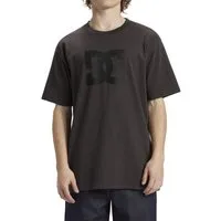 DC Shoes T-Shirt DC Star Pigment Dye