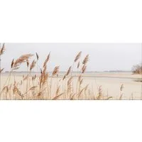 artissimo Glasbild XXL Bild aus Glas 125x50 cm / Panorama Wandbild groß / Wanddeko modern, Strand und Meer: Dünenlandschaft mit Dünengras in Beige
