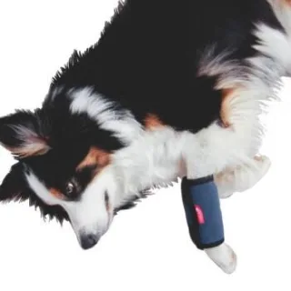 HerzensTier Kühl- und Wärmebandage L