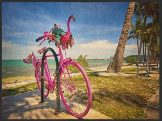 Fussmatte Fahrrad 4992 | Größe: 60 cm x 45 cm