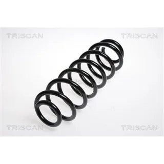 Triscan Feder hinten Skoda Octavia VW Golf Jetta 875029160