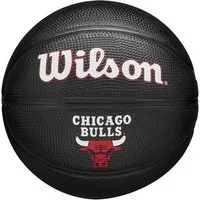 Wilson Basketball NBA TEAM TRIBUTE MINI