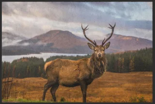 Fussmatte Hirsch 4522 | Größe: 60 cm x 45 cm