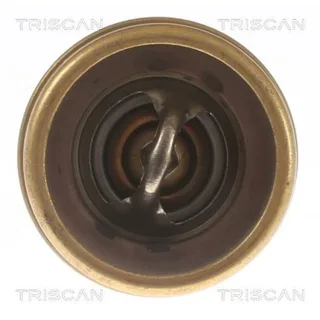 Triscan Thermostat BMW 1er 3er 5er 6er 7er X1 X3 Z4