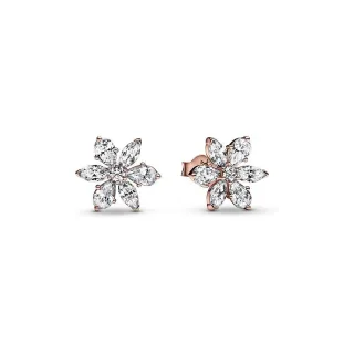 Pandora Ohrstecker Timeless 282407C01