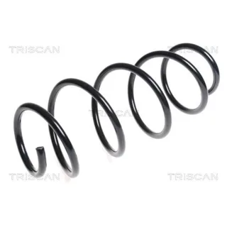 Triscan Feder vorne Mercedes E-Klasse W212 875023167