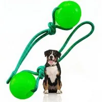 Activity4Dogs Zahnpflege-Spielzeug Hundespielzeug Ball mit Schnur große Hunde ohne Quietsche zahngesund, ohne Weichmacher