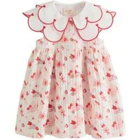 Next Jerseykleid Kleid mit Kragen (1-tlg)