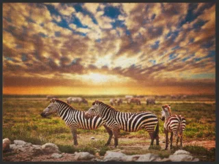Fussmatte Zebra 4894 | Größe: 60 cm x 45 cm