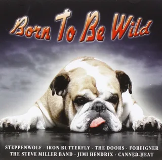 Born to Be Wild - 16 Greatest Rock-Songs