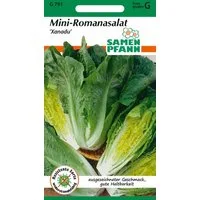 SAMEN PFANN Gemüsesamen Mini-Romanasalat, Xanadu - Saatgut Salat-Samen Samen, Lactuca sativa