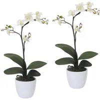 Kunstpflanze Orchidee Phalaenopsis Orchidee, Creativ green, Höhe 55 cm, im Keramiktopf
