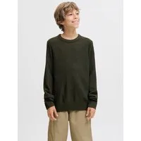 Jack & Jones Junior Rundhalspullover JJROY KNIT CREW NECK AW25 JNR