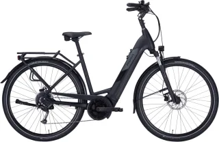 E-Bike    - Pegasus Solero EVO 9 Wave   - 55 cm
