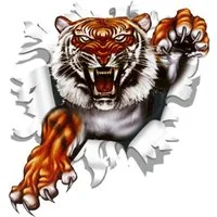 Hermann Schütz Aufkleber Aufkleber Einschussloch 90 mm Motiv Tiger