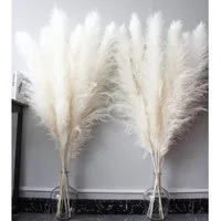 Trockenblume Pampasgras White 115cm 10 Stück Boho Deko Wohnzimmer 120cm-10PCS-B, LuxusKollektion
