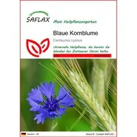 SAFLAX Blumensamen SAFLAX - Samen - Blaue Kornblume