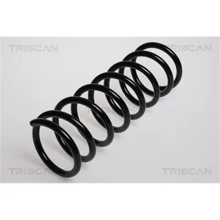 Triscan Feder hinten Ford Mondeo 3 Turnier 875016026
