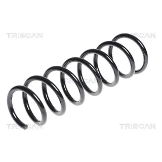 Triscan Feder hinten BMW 5er E60 875011132