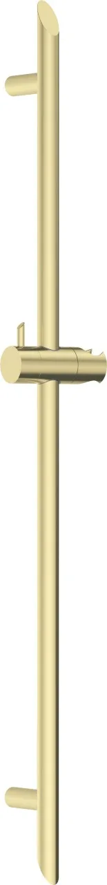 Neuesbad Serie 600 Brausestange, Oberfläche: gold gebürstet NB1NQS_R51D1