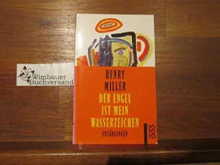Der Engel ist mein Wasserzeichen : Erzählungen [Taschenbuch]
