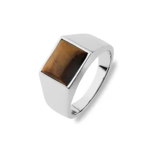FAVS Herrenring 89219606